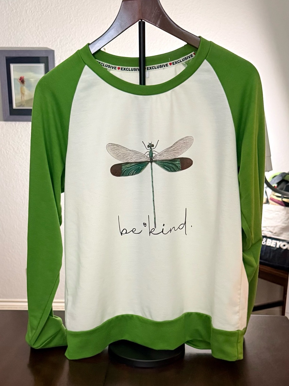 Be Kind Dragonfly Raglan Sweatshirt - Green/White Size Large (AA11)